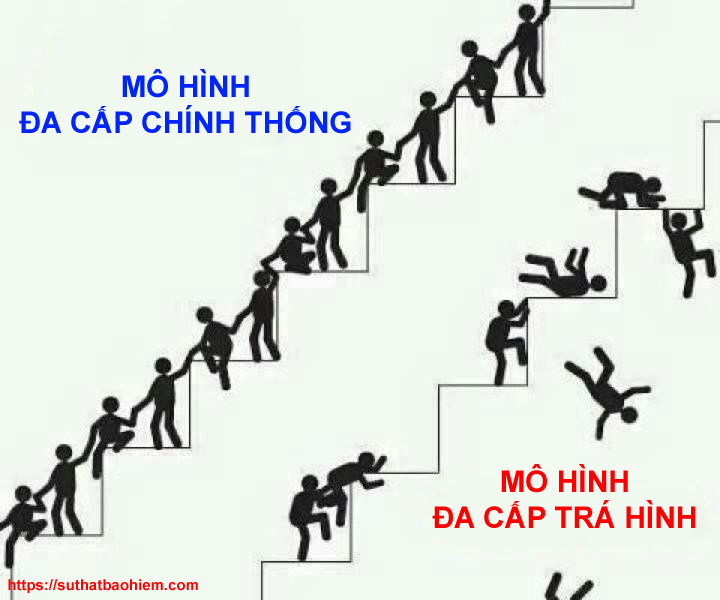 đa cấp trá hình và đa cấp chính thống